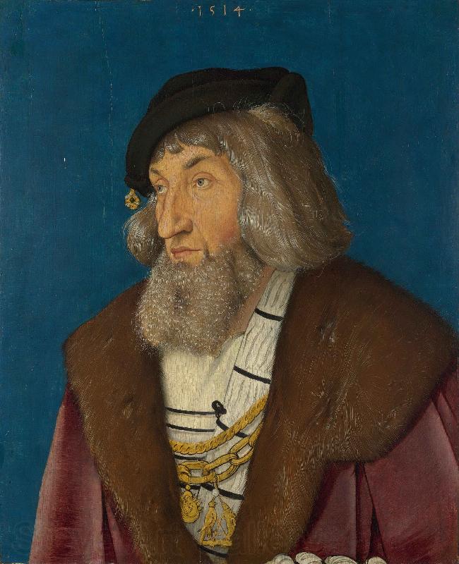 Hans Baldung Grien Portrait of a Man Norge oil painting art